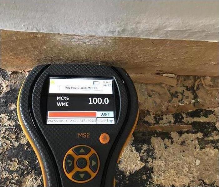 moisture meter for water damage detection