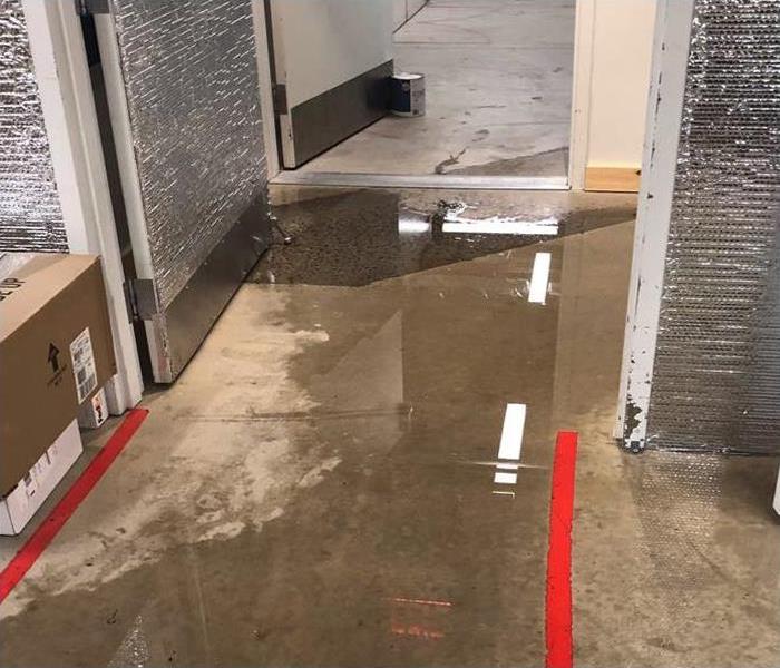 puddles of contaminated water damage on commercial store floor